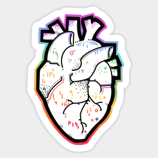 Rainbow anatomical heart Sticker